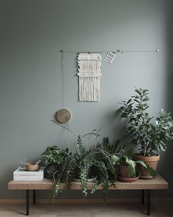 25 Creative Ways To Arrange Your Indoor Plant Shelf 2