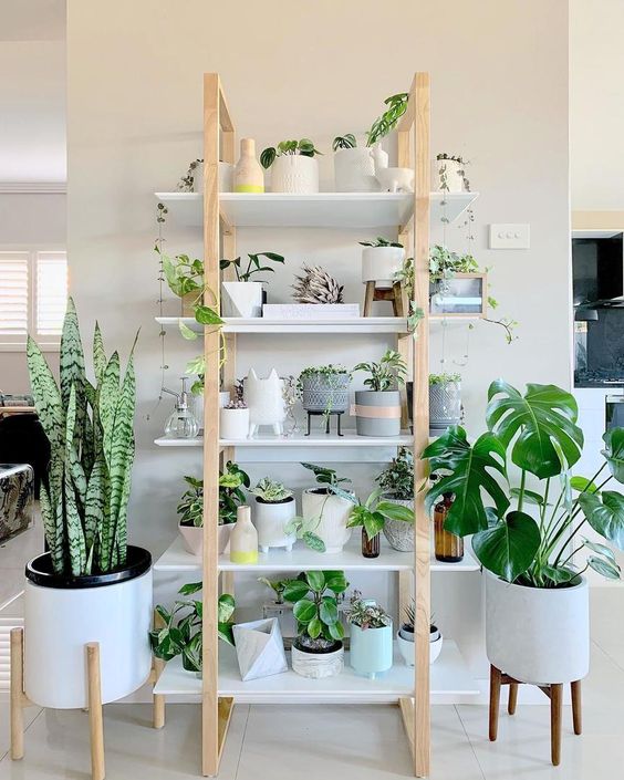 25 Creative Ways To Arrange Your Indoor Plant Shelf 5