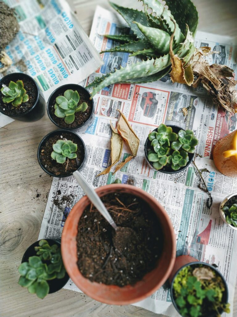 DIY Projects for Living Wreaths, Vertical Gardens, and Terrariums