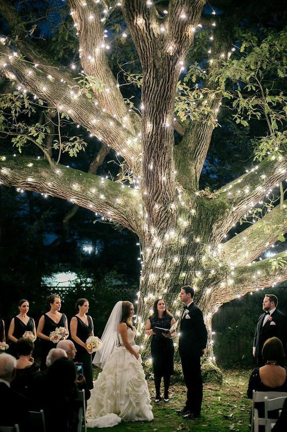 Fairy Lights in Wedding