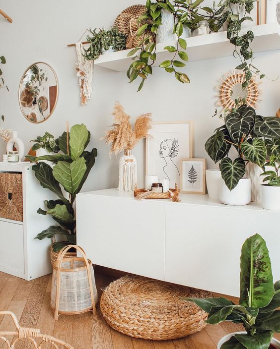 How to Arrange Plants in Living Room