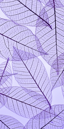 iPhone Purple Aesthetic Wallpaper
