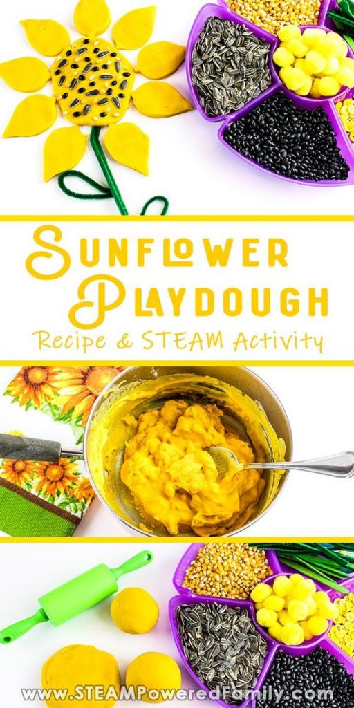 Playdough Ideas for Kids sunflower