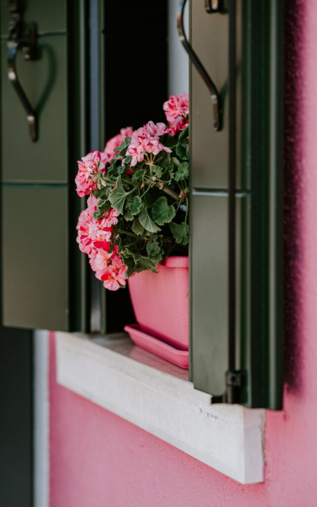 Window Flower Box Maintenance