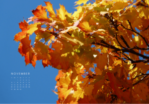 40+ FREE November Wallpaper Designs For Desktop (Instant Download)