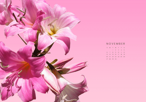 november wallpaper calendar 2022 - free novermber wallpaper for desktop