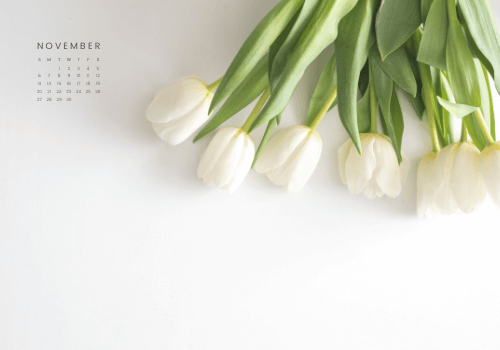 november wallpaper calendar 2022 - free novermber wallpaper for desktop