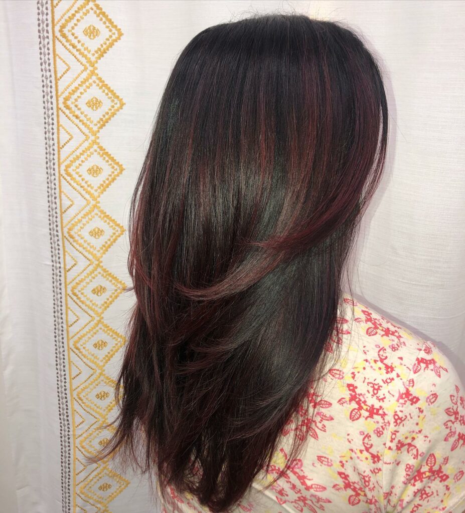 Black Cherry Plum Hair Color