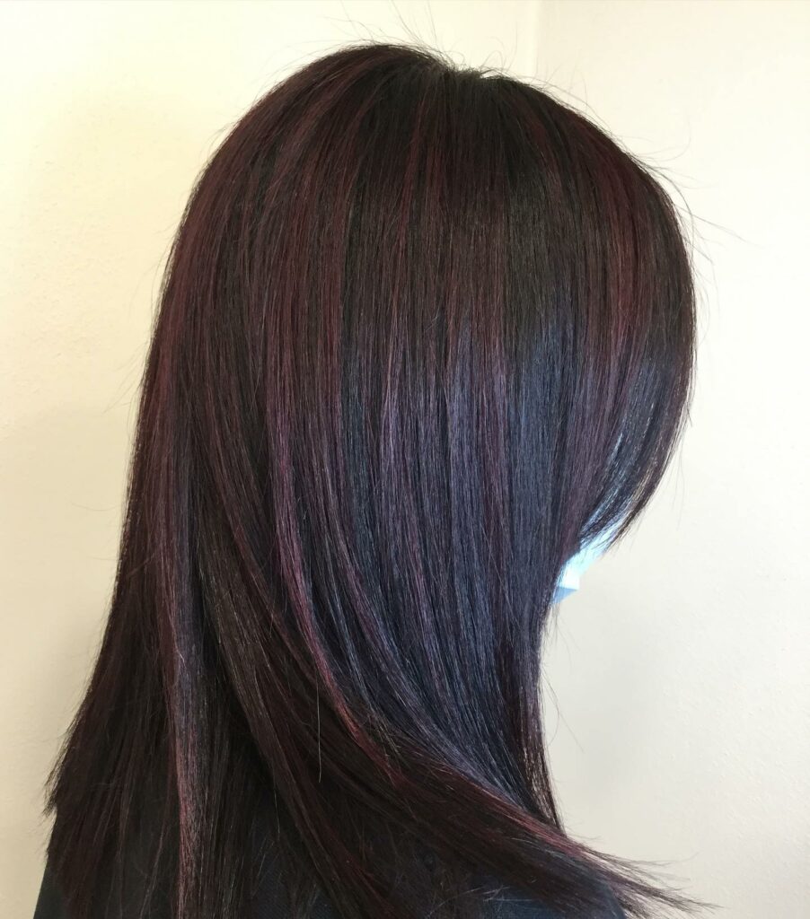 Black Cherry Plum Hair Color