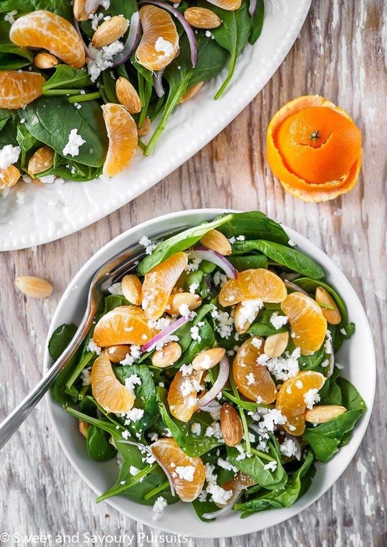 citrus salad recipes 19