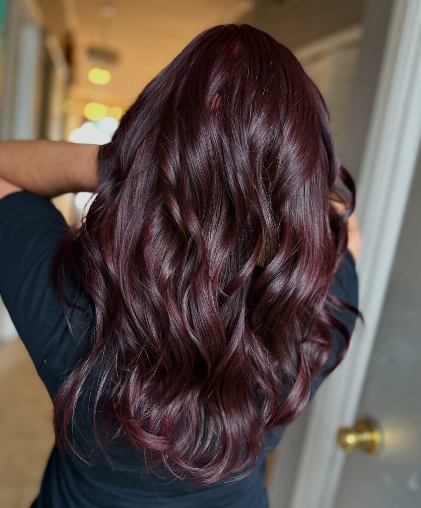 Dark Wine Hair Color