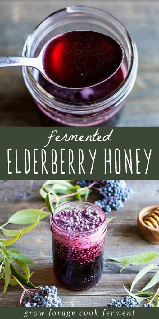 elderberry recipes 2
