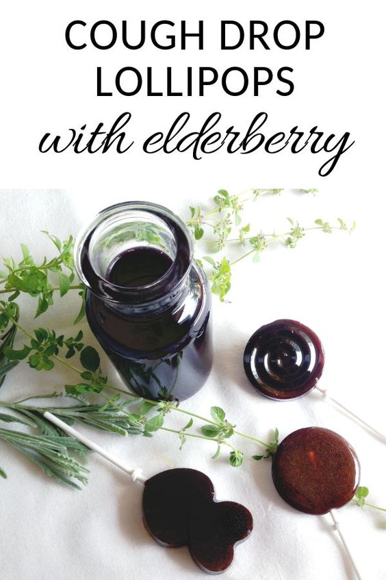elderberry recipes 5