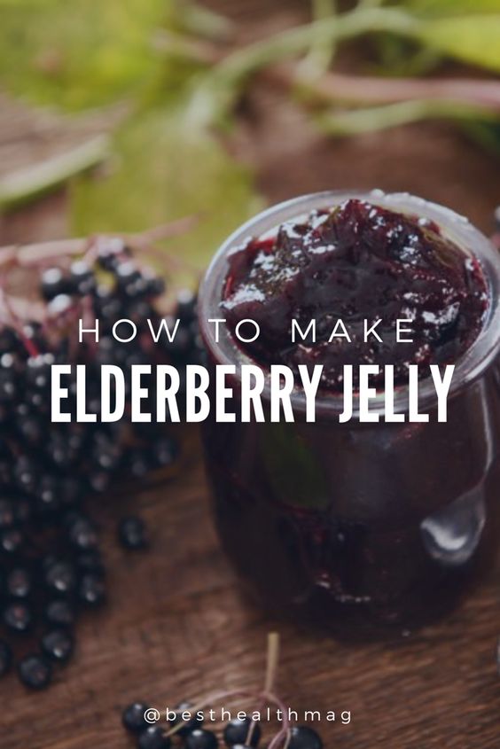 elderberry recipes 7