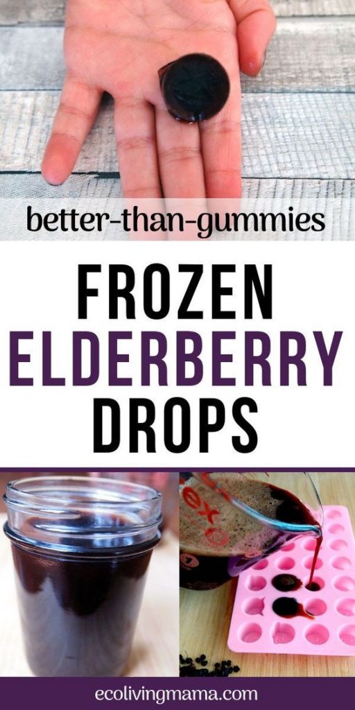 elderberry recipes 8