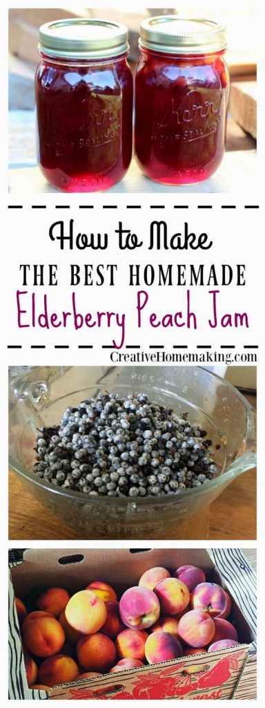 elderberry recipes 9