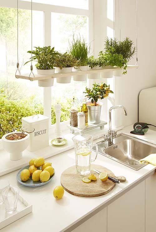  how to decorate kitchen counters