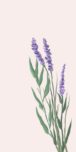 iPhone Lavender Aesthetic Wallpaper