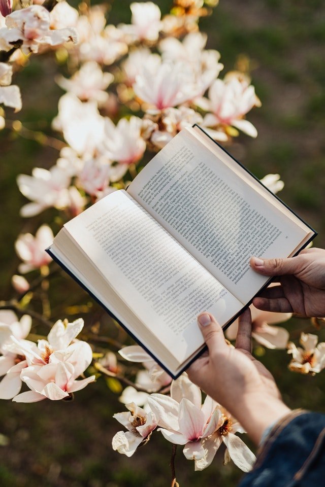opened book in hands of person against floral background on 4218863
