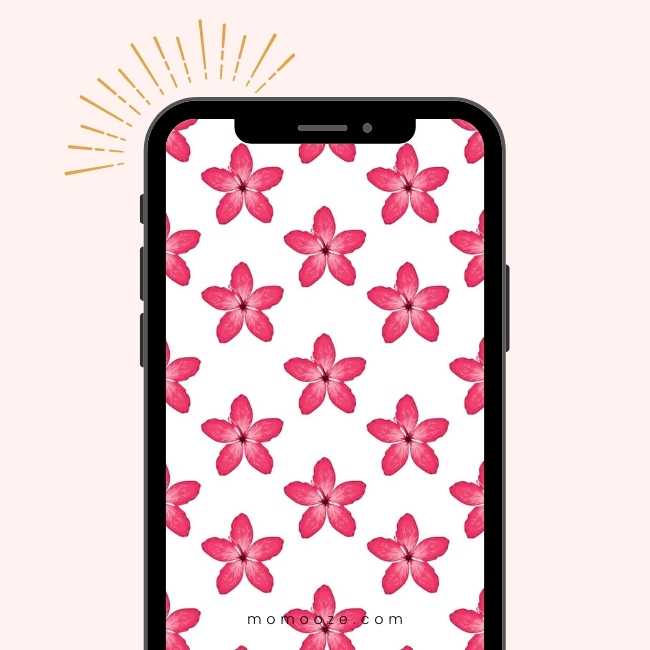 preppy pink wallpapers